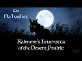 Download Lagu The Na'Hashet: Kaimere's Leucrotta of the Desert Prairie