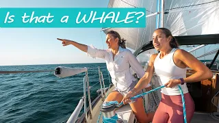 Sailing to Maine | S06E13