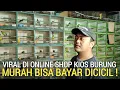 Download Lagu LAGI VIRAL ! BELI BURUNG MURAH BISA DICICIL LAGI CUMA ADA DI KIOS PASAR BURUNG PRAMUKA HARI INI 