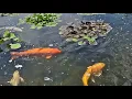 Rotary Botanical Gardens Janesville Wisconsin June 10th 2026
