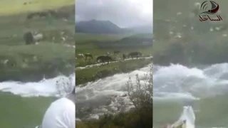 شيله عن التجارب عطتني خبره وعلمتني مع اروع المناظر 