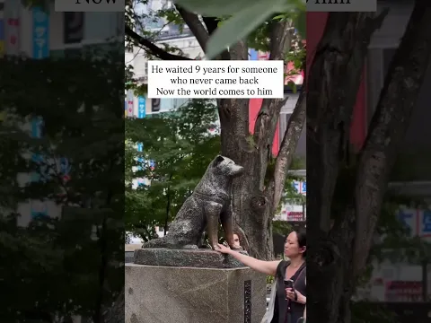 The True Story of Hachiko The Loyal Dog Who Waited 9 Years 🥺