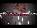 Download Lagu DJ DEMI CINTA YANG MENYALA X MELODI KANE X MASHUP VIRAL TIKTOK FT DHIEXA RMX