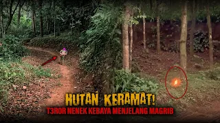 KERAJAAN SILUMAN HUTAN KERAMAT!!! | SIAPAPUN MASUK KE HUTAN INI TIDAK AKAN SELAMAT
