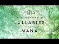 Lullabies of Mana - Into the Thick of It (Dungeon)