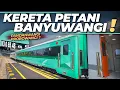 Lagu BANYUWANGI DAPET KERETA PETANI ‼️ PANDANWANGI ATAU PROBOWANGI NIH? Kirim Kereta Petani ke Banyuwangi
