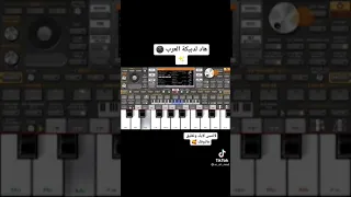 نغمات دبكات عرب  نغمات دبكات عرب
