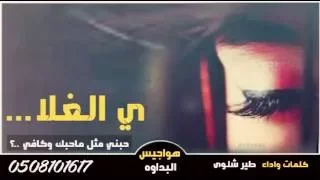 شيلة ي الغلا كلمات واداء طير شلوى تنفيذ هواجيس البداوه 