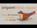 Origami Time-Lapse Robin David Brill