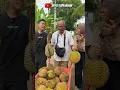 Lagu ABANG TUKANG DUREN MARI MARI SINI AKU MAU BELI KABUR #shorts