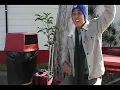 Kolohe Kai - Cool Down (Official Music Video)