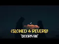 Dooriyan - Panther | (Slowed & Reverb)