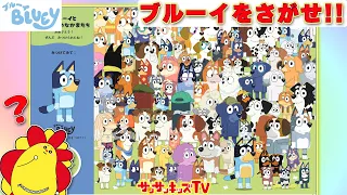 【かくれんぼ】ブルーイの絵本をさがせ！本屋さんでかくれんぼしてるお友達をみつけられるかな？・子供向け知育教育★サンサンキッズTV★