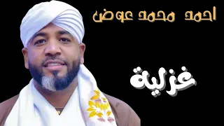 غزلية العميد احمد محمد عوض حفلات جديدة القاهرة ٢٠٢٥ 
