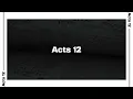 Acts 12 Bible Reading NIV