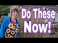 Download Lagu October Gardening Success!  /  Allotment Garden UK 