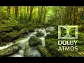 Download Lagu Experience the real Dolby Atmos sound \