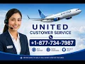 Complete Guide United Airlines Customer Service How to Use Delta Airline Live Chat Phone Support
