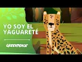Lagu Esto soy yo: el Yaguareté! 🐆