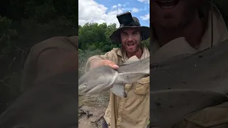 Fishing Challenge in Australia 🐟