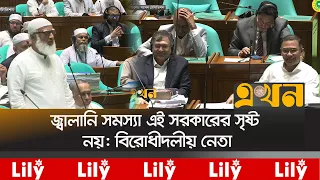 ‘সরকার হয়তো আন্তরিকভাবে জ্বালানি সমস্যা সমাধানের চেষ্টা করছে’ | Parliament | Energy | Ekhon TV