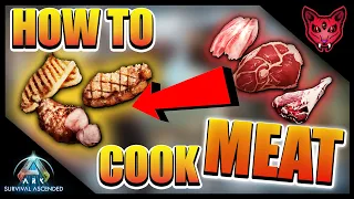 HOW TO COOK MEAT ARK Tutorials