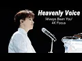Download Lagu Heavenly voice-absolutely stunning! Henry Lau’s Wuhan music festival ‘Always Been You’ 4K focus