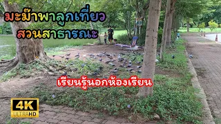 มะม๊าพาลูกเที่ยวสวนสาธารณะ #กิจกรรมครอบครัว #เรียนรู้นอกห้องเรียน #ธรรมชาติ #น้องกูเกิ้ลchannel