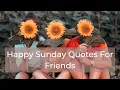 happy Sunday Quotes For Friends Happy Sunday Messages For Friends 2020