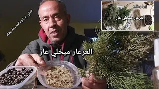 بخري بالعرعار ميخلي عار ينحي العين والعكوسات                       دندنها