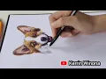 a sketch of Dog (by Kerrin Winona)
