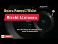 Suara panggil walet Birahi Lintasan