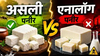 What Is Analog Paneer? Real Paneer vs Analog Paneer Explained