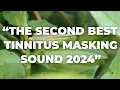Download Lagu LOSE YOUR TINNITUS With This Cicada Tinnitus Relief Sound Therapy Treatment