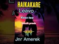 Haikakare leavo(Jnr Amerek)Kess Tee muzik prdz🇵🇬