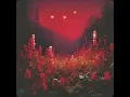 Silent Planet - Antimatter