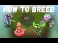 How To Breed All Single Element Ethereals Breeding Bonanza - My Singing Monsters