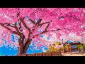 Download Lagu Послушайте Эту Музыку И Вам Станет Легче!Все ваши тревоги исчезнут, если вы послушаете эту музыку🌸