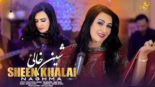                                                            شین خالئ دندنها