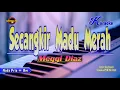 Download Lagu Secangkir Madu Merah Karaoke - Meggi Diaz ( Nada Pria )