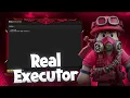 Roblox Executor Is Real Executor One Of The Best and Keyless