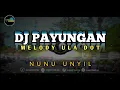 Download Lagu DJ PAYUNGAN X MELODY ULA DOT [BOOTLEG]