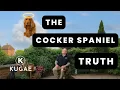 The Reality Of Cocker Spaniels