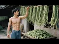 Download Lagu From Garden to Pantry: Harvesting Fresh Cowpeas and Sun-Drying Them Into Flavorful Homemade Delicaci