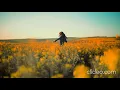 Download Lagu 🎧My Luck- Forest Keller [Free Copyright Music]🎵🔈