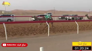 الشوط 11 الشاهينية لـ عبيد مكتوم بن سلوم الراشدي شارة الصندوق السبت 2019 06 22 الساد فطامين 