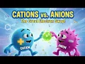 Cations vs Anions What s the Difference Science Explained