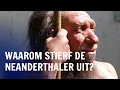 Lagu Hoe de neanderthaler op mysterieuze wijze van de aarde verdween