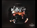 Nicky jam ft anuel aa - whine up (audio official)
