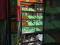 Download Lagu Jajanan pasar! Suka banget disini di buat langsung. Produksi rumahan. 5 ribu dapet 4 psc